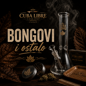 Bongovi i ostalo